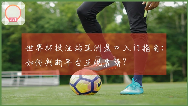 世界杯投注站亚洲盘口入门指南：如何判断平台正规靠谱？