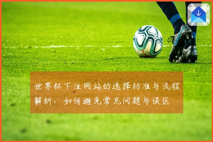 世界杯下注网站的选择标准与流程解析,如何避免常见问题与误区